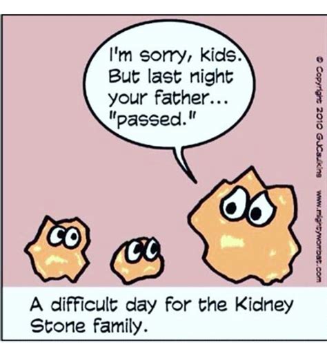 The pain, says anyone who has had them, is excruciating. . Funny names for kidney stones